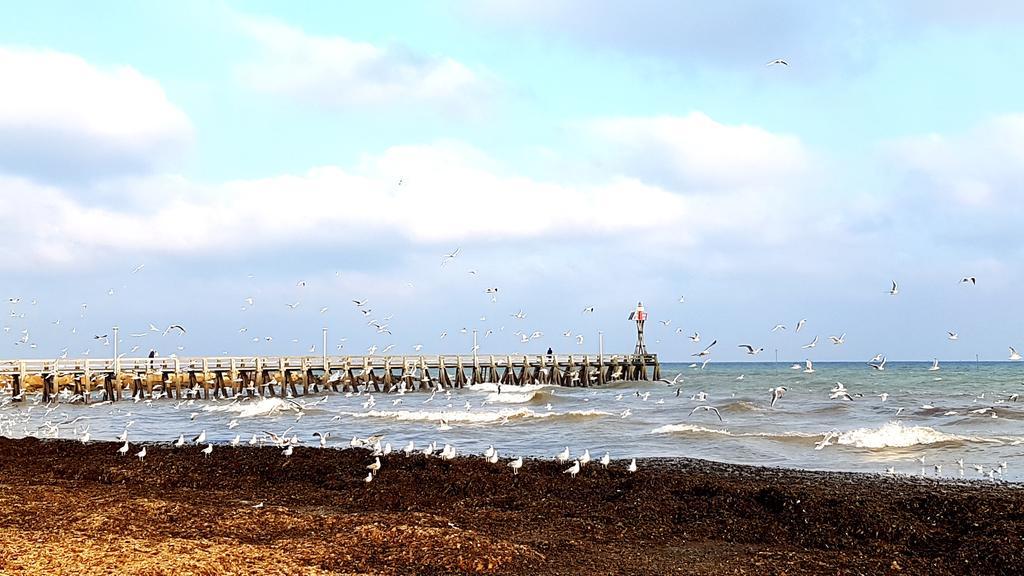Hotel De Paris Courseulles-sur-Mer Exteriér fotografie